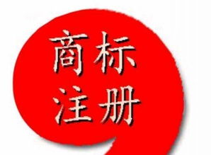 知识产权服务首选指南 为什么西安海纳是您的可靠伙伴？